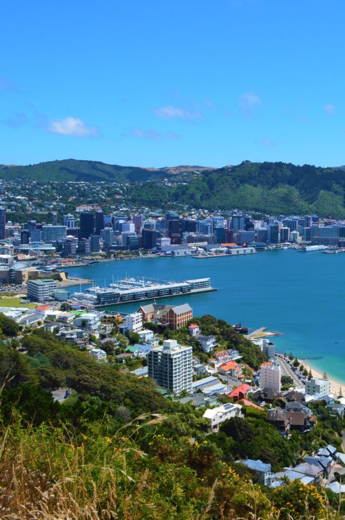 wellington from scenic viewpoint