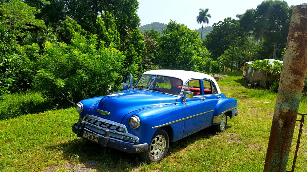 Vintage car parked in the jungle in Cuba