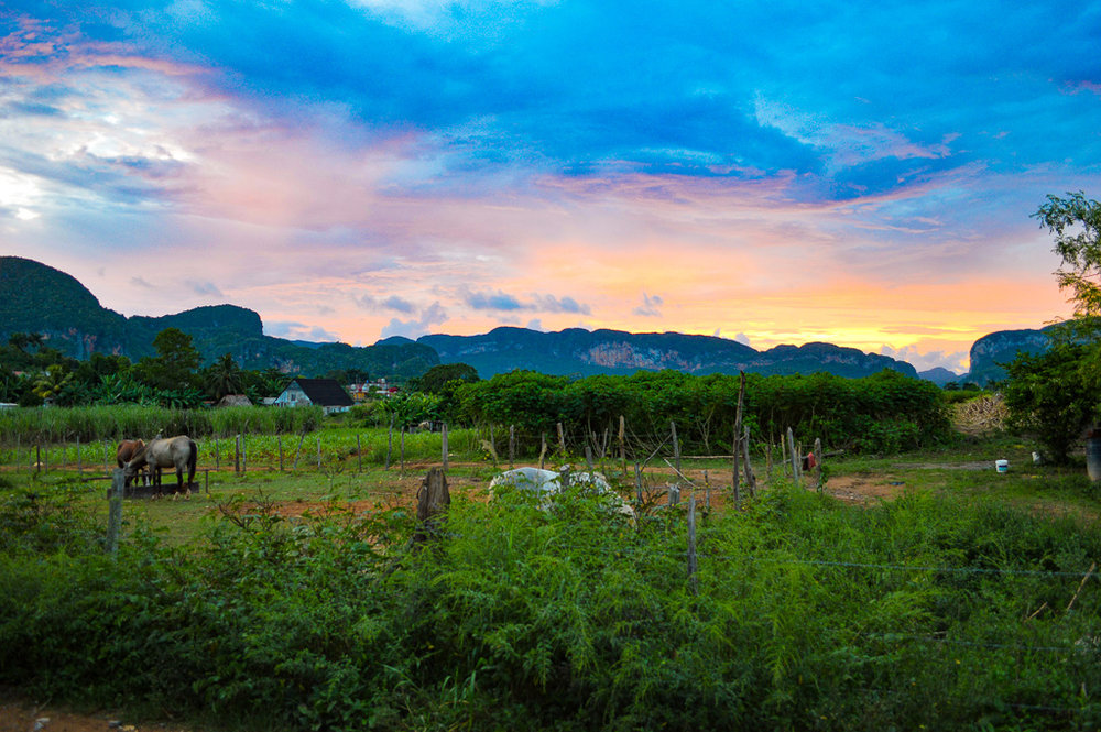 orange sunset over a field with horses in Vinales, Cuba