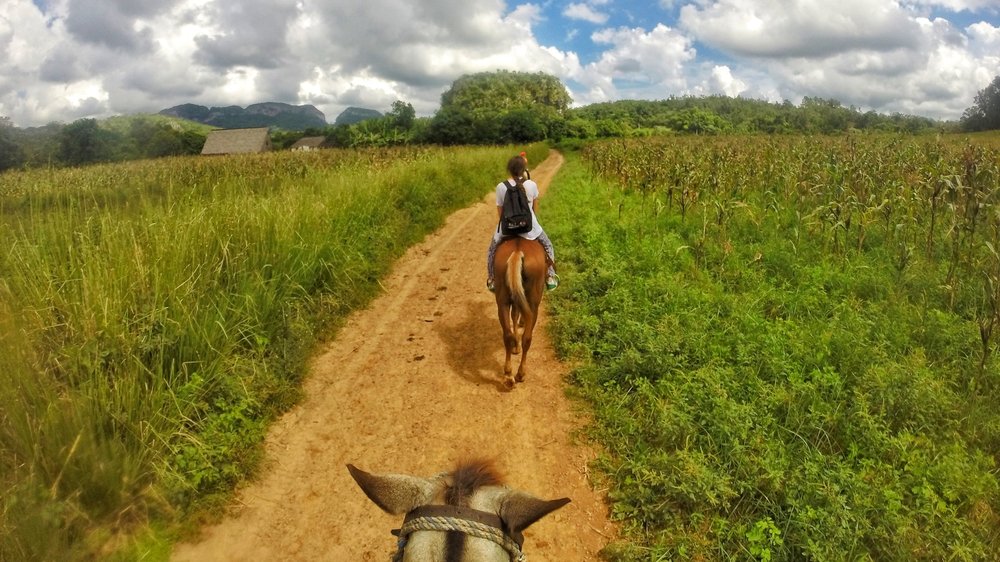 horse riding through fields on a Cuba two week itinerary