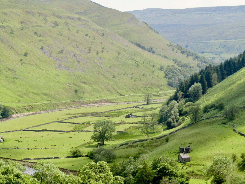 green hills and meadows in swaledale in yorkshire