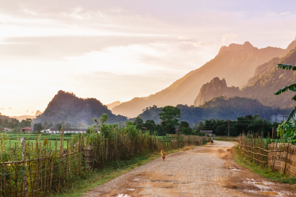 Laos countryside at sunset with a dog