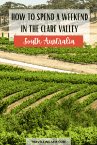 a weekend in the Clare Valley things to do, see eat and more!