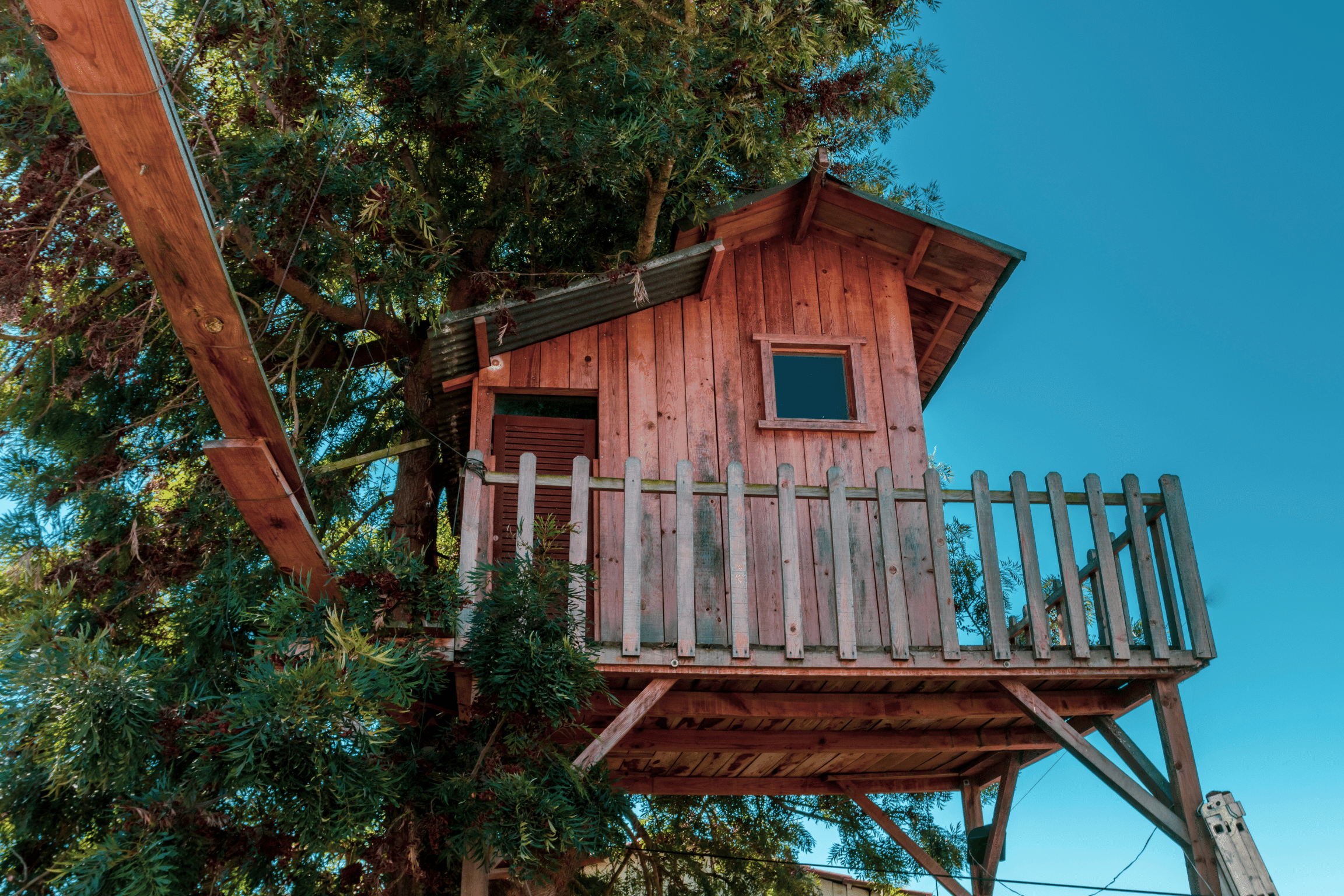 treehouse in tree canopy with blue sky