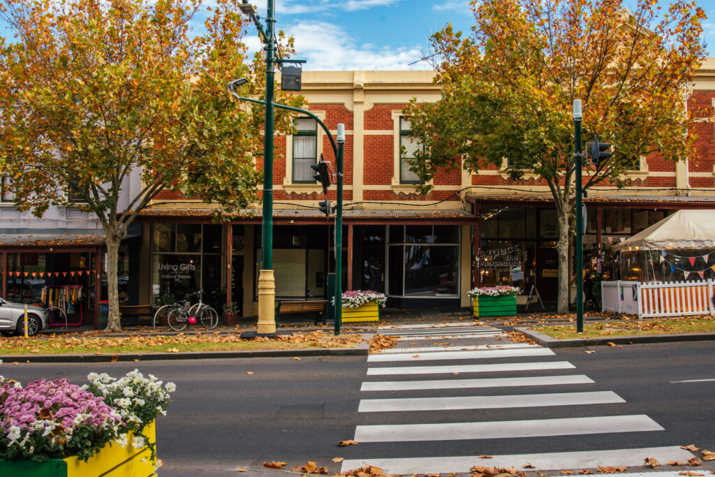 pedestrian crossing and autumnal trees in front of shops in Bendigo