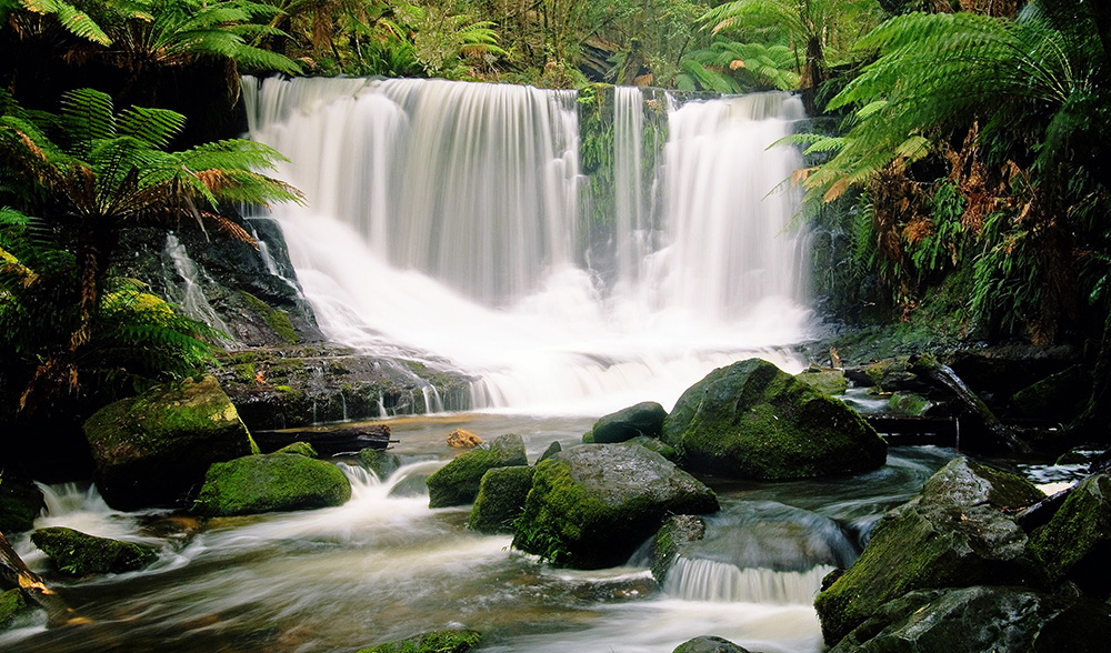 water cascading from waterfall in tasmania
