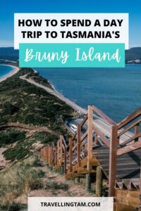 how to spend a day trip on a bruny island day tour