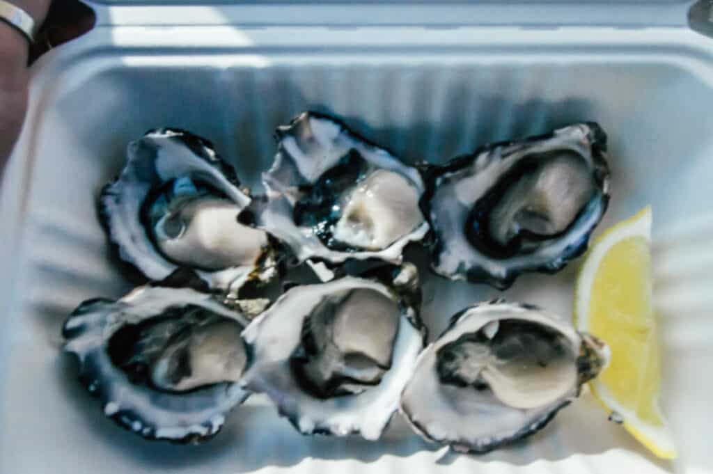 paper box of Bruny Island Oysters and a wedge of lemon